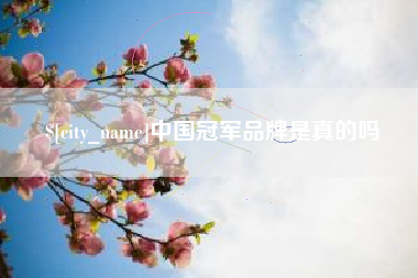 武汉中国冠军品牌是真的吗