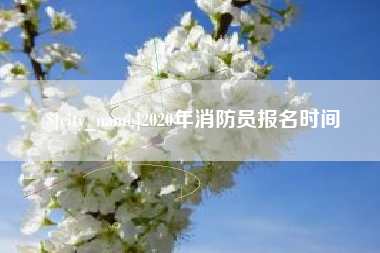 武汉2020年消防员报名时间