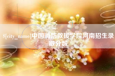 武汉中国消防救援学院河南招生录取分数