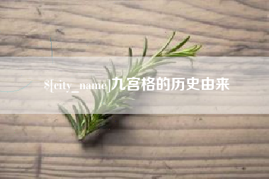 武汉九宫格的历史由来