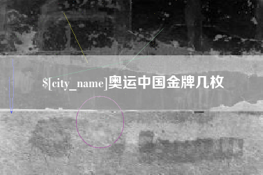 武汉奥运中国金牌几枚