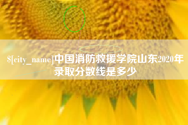 武汉中国消防救援学院山东2020年录取分数线是多少