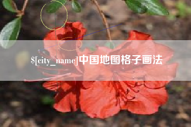 武汉中国地图格子画法