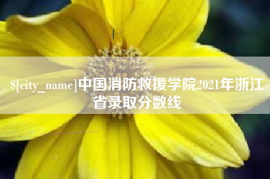 武汉中国消防救援学院2021年浙江省录取分数线