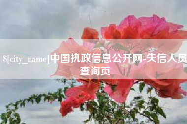 武汉中国执政信息公开网-失信人员查询页