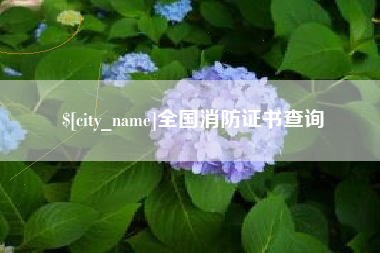 武汉全国消防证书查询