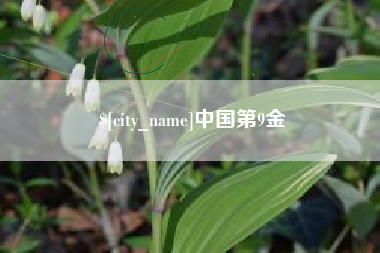 武汉中国第9金