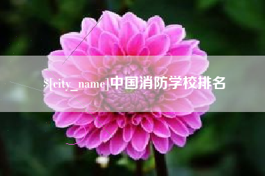 武汉中国消防学校排名
