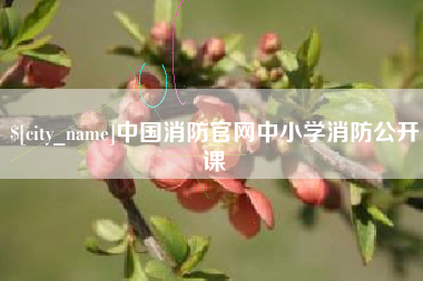 武汉中国消防官网中小学消防公开课