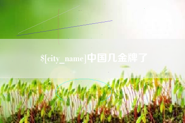武汉中国几金牌了
