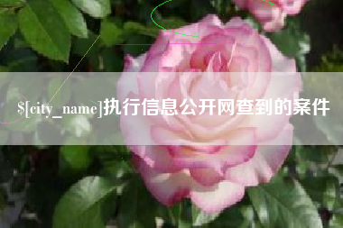 武汉执行信息公开网查到的案件