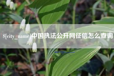 武汉中国执法公开网征信怎么查询