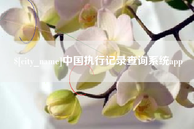 武汉中国执行记录查询系统app