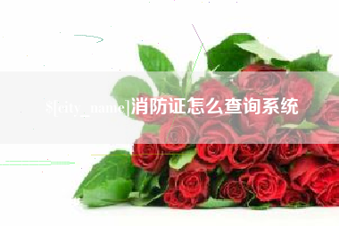 武汉消防证怎么查询系统