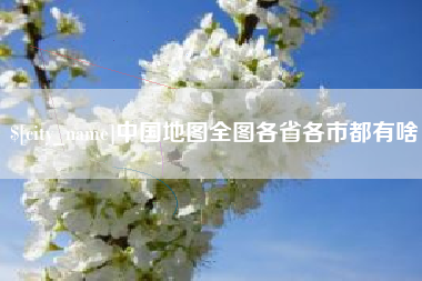 武汉中国地图全图各省各市都有啥