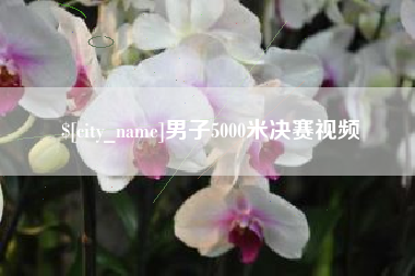 武汉男子5000米决赛视频