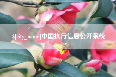 武汉中国执行信息公开系统