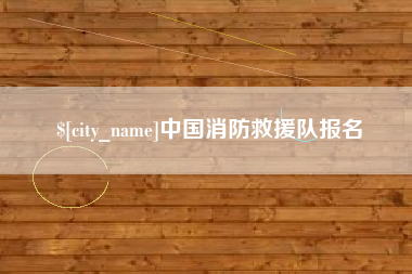 武汉中国消防救援队报名