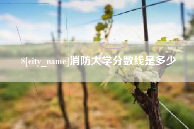 武汉消防大学分数线是多少