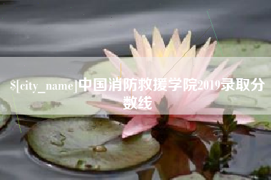 武汉中国消防救援学院2019录取分数线