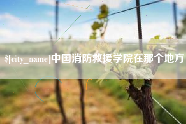 武汉中国消防救援学院在那个地方