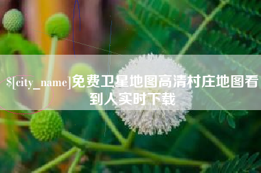 武汉免费卫星地图高清村庄地图看到人实时下载