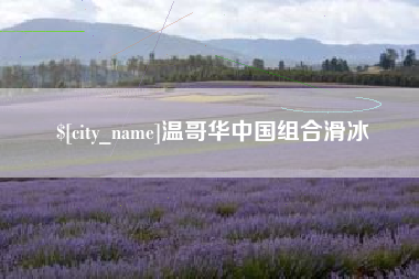 武汉温哥华中国组合滑冰