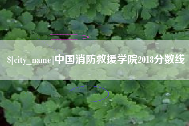 武汉中国消防救援学院2018分数线