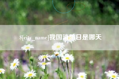 武汉我国消防日是哪天