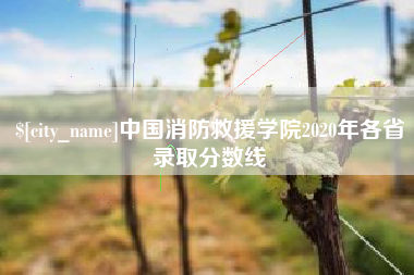 武汉中国消防救援学院2020年各省录取分数线