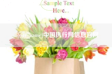 武汉中国执行网信息官网