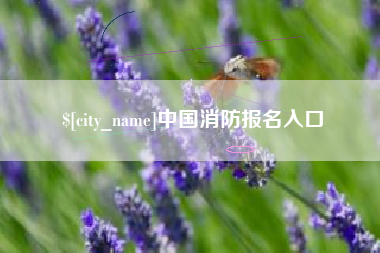 武汉中国消防报名入口