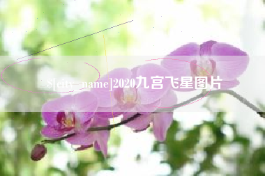 武汉2020九宫飞星图片