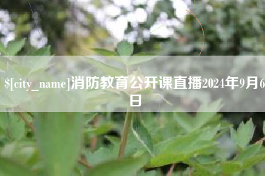 武汉消防教育公开课直播2024年9月6日