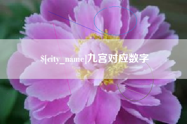 武汉九宫对应数字