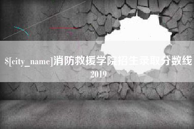 武汉消防救援学院招生录取分数线2019