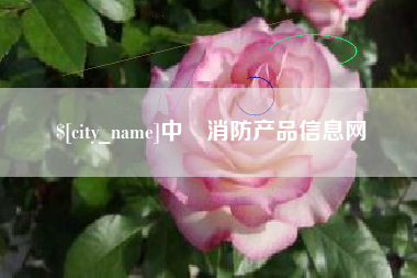 武汉中囯消防产品信息网