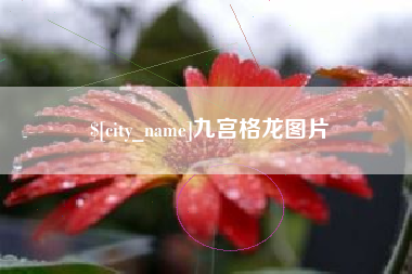 武汉九宫格龙图片
