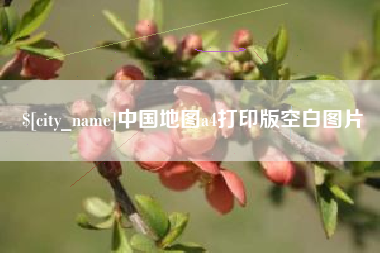 武汉中国地图a4打印版空白图片