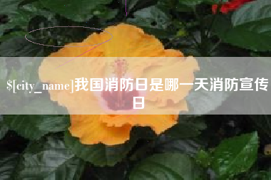 武汉我国消防日是哪一天消防宣传日