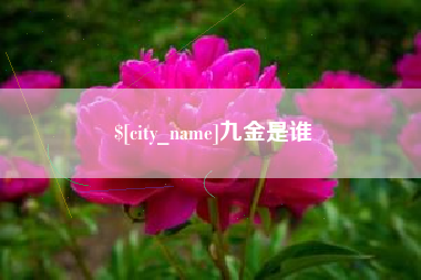 武汉九金是谁