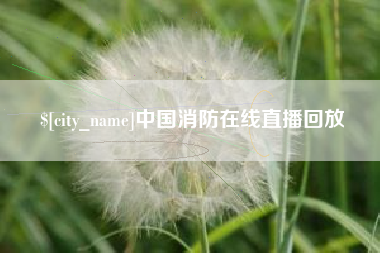 武汉中国消防在线直播回放