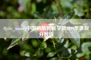 武汉中国消防救援学院2019年录取分数线