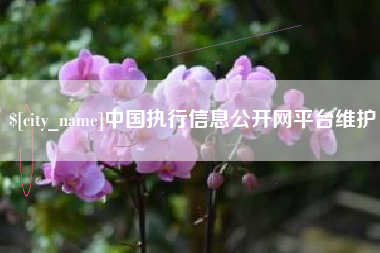 武汉中国执行信息公开网平台维护