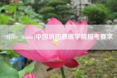 武汉中国消防救援学院报考要求
