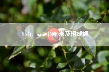 武汉5000米及格成绩