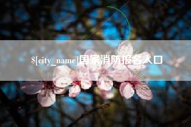 武汉国家消防报名入口