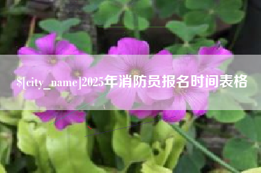 武汉2025年消防员报名时间表格