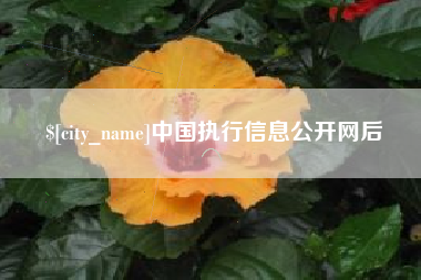 武汉中国执行信息公开网后