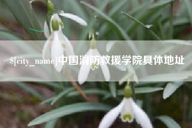 武汉中国消防救援学院具体地址
